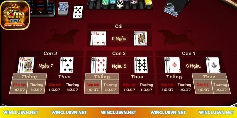 cach-choi-bai-ngau-ham-hieu-qua